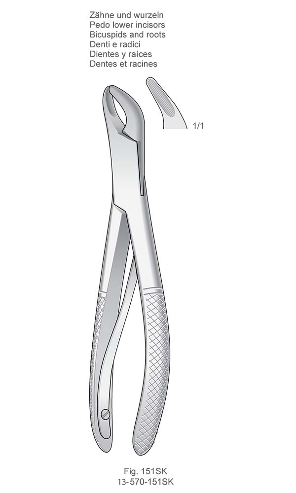 Extracting Forceps for children, American Pattern