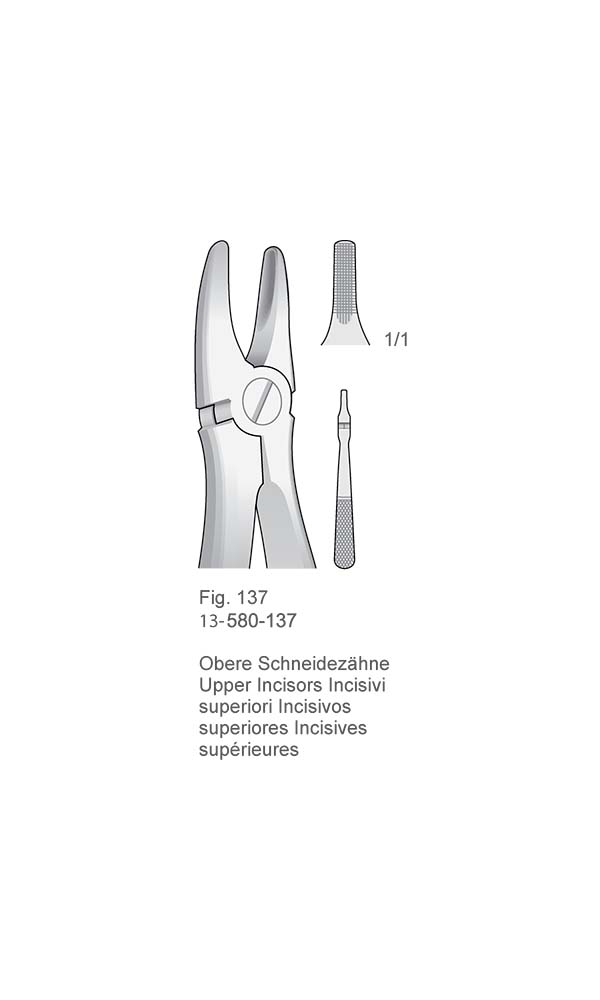 Extracting Forceps for children , Fig. 137