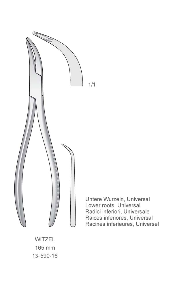 Extracting Forceps , WITZEL