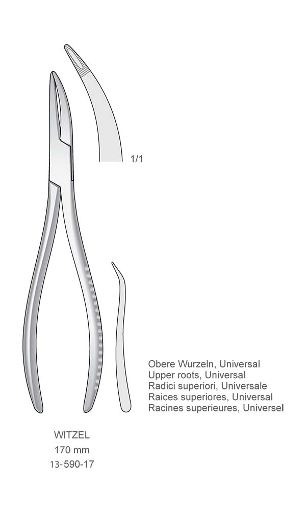 Extracting Forceps , WITZEL