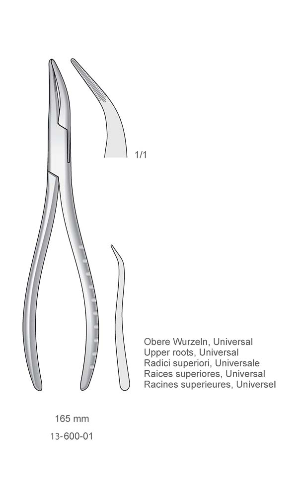 Extracting Forceps ,