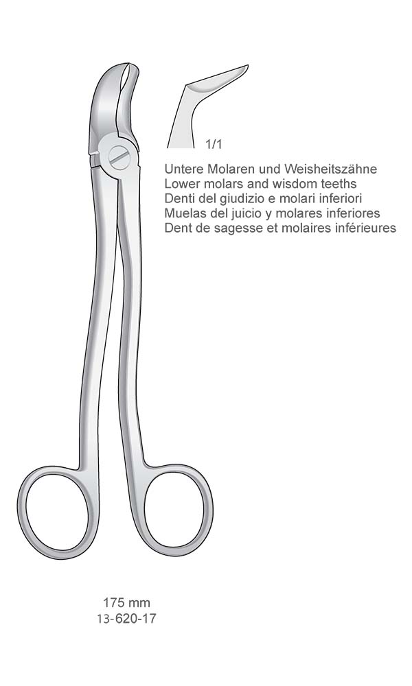 Root Fragment Forceps